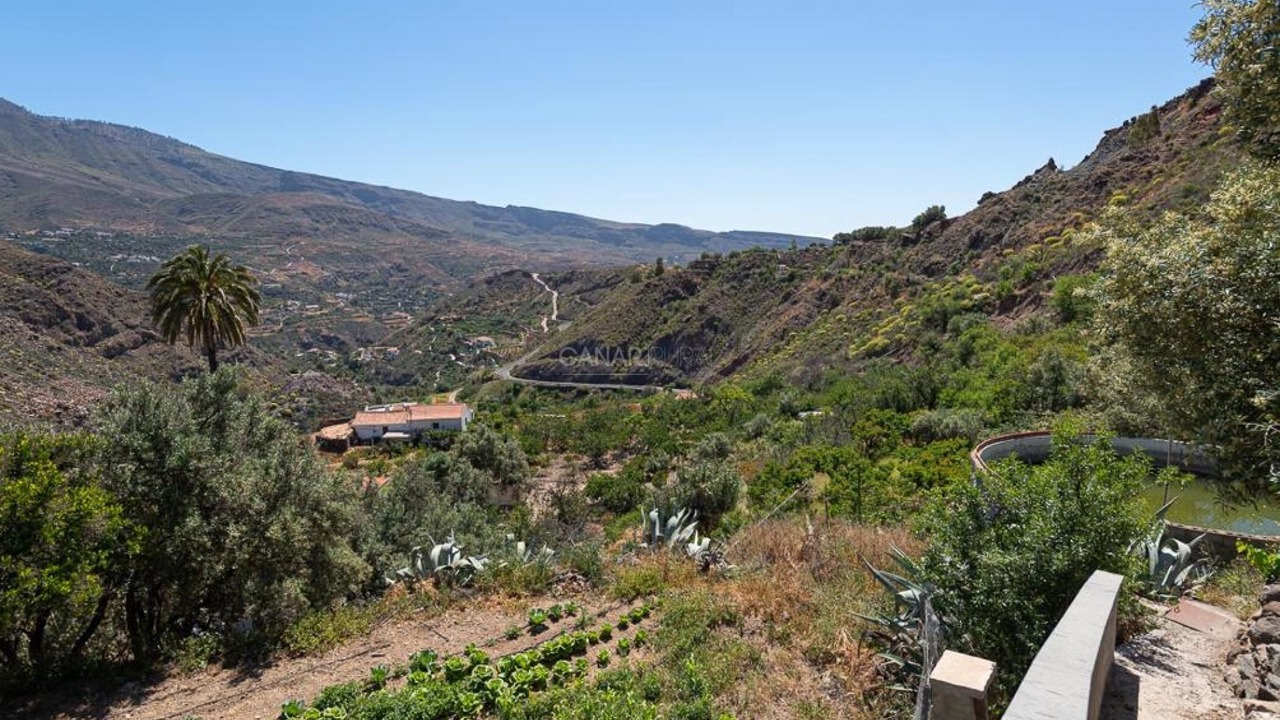 Photo of Others in San Bartolome de Tirajana