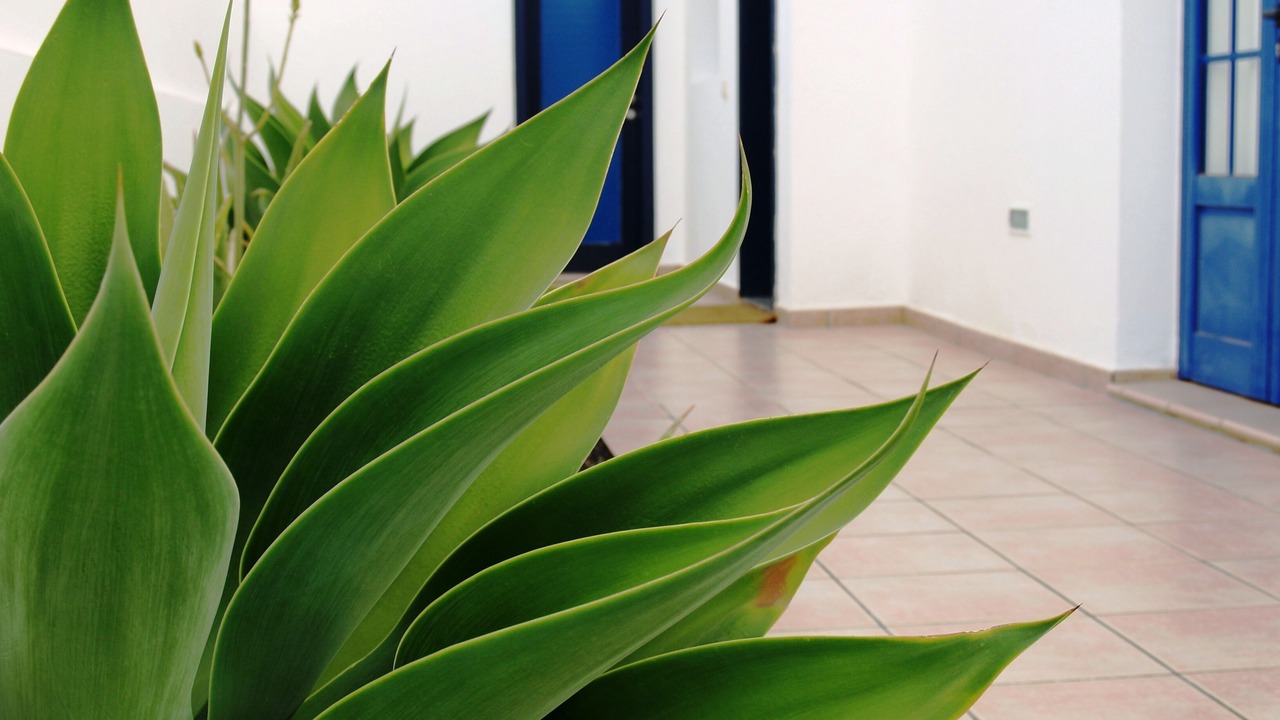 Photo of Outdoor in Playa Blanca