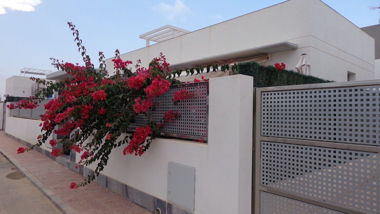 Photo of Outdoor in Rojales