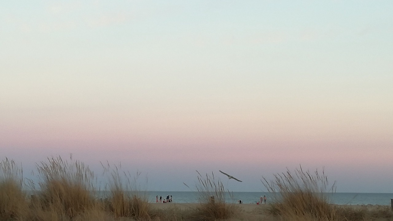 Photo of Others in Costa Esuri