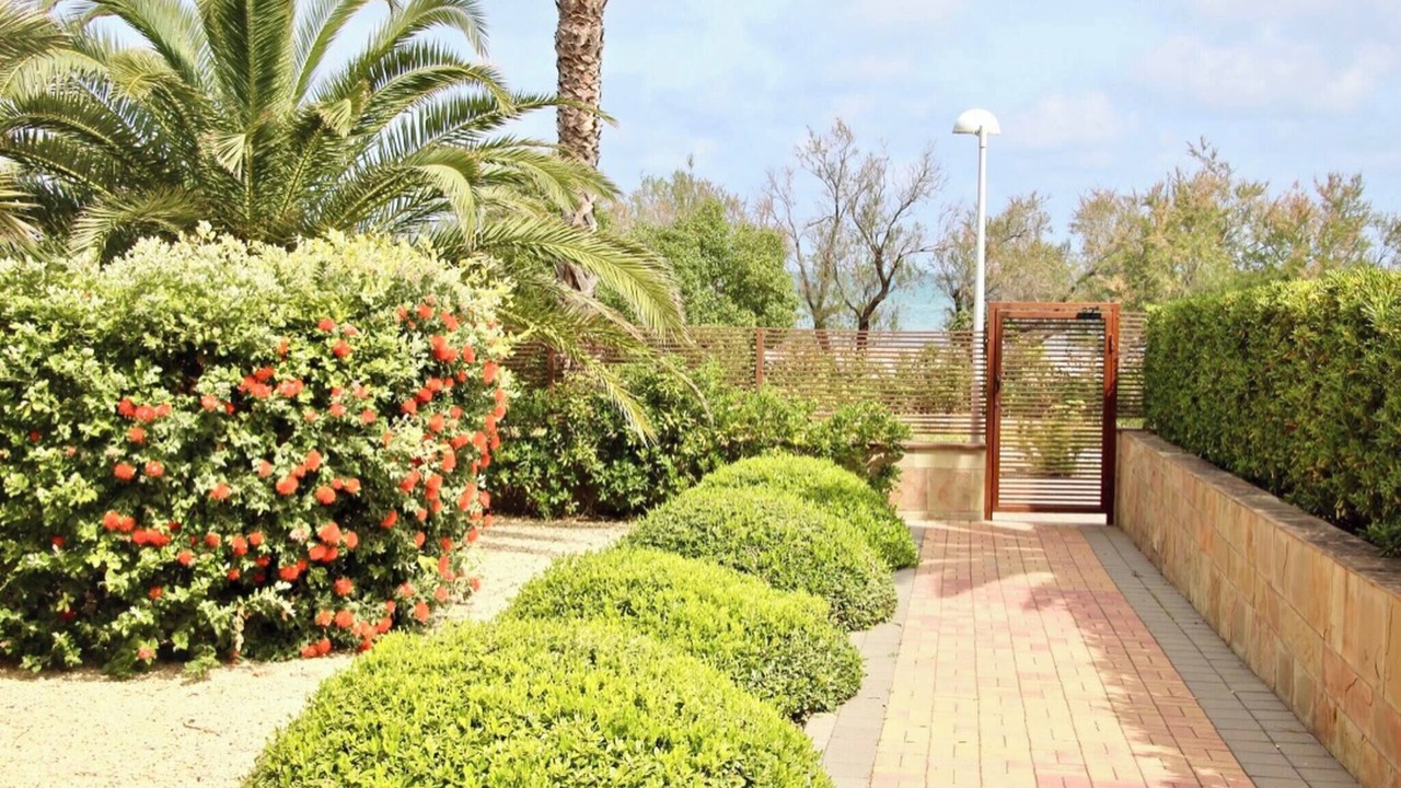 Photo of Outdoor in Almadrava Beach