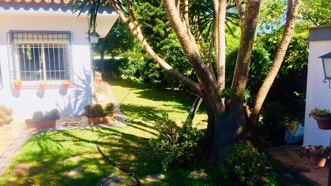 Photo of Outdoor in Espartinas