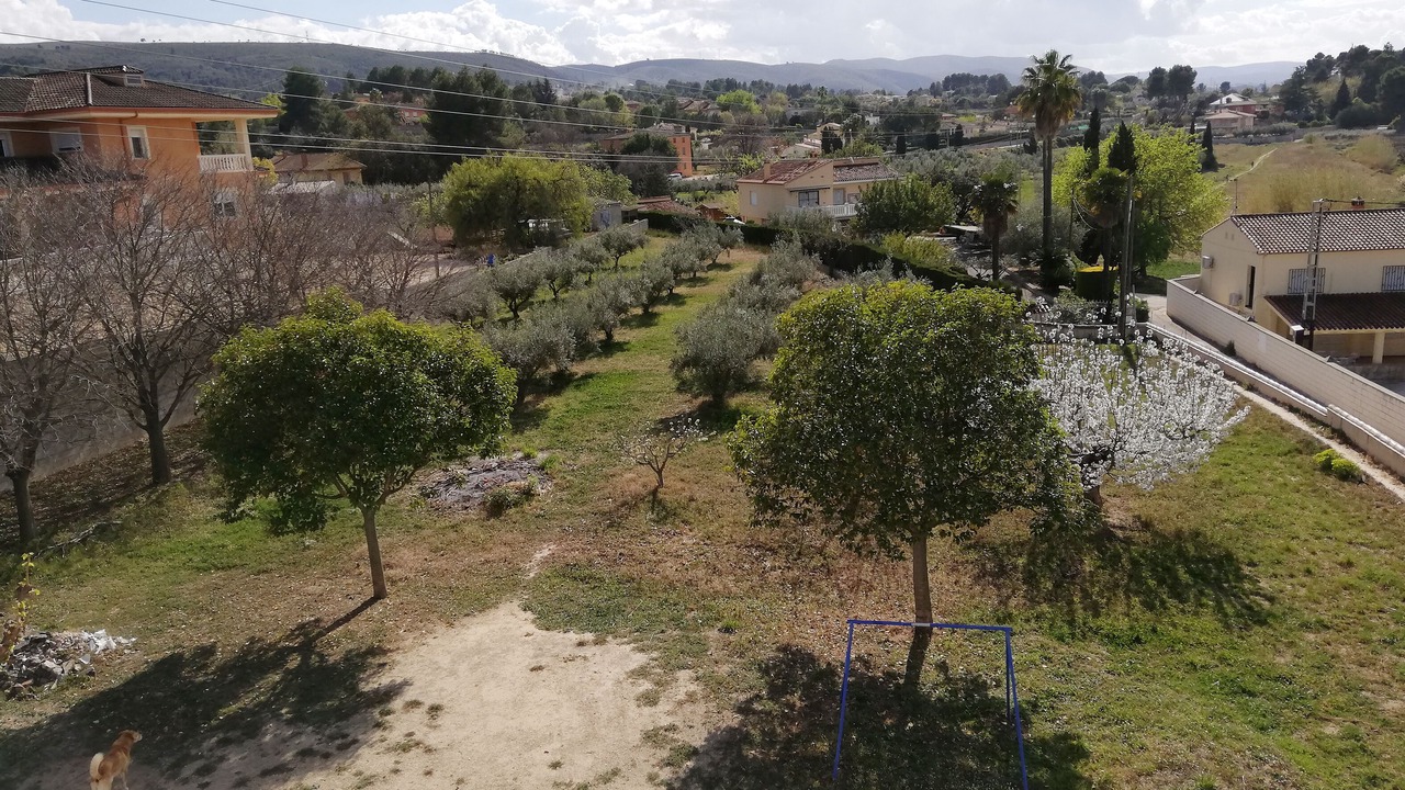 Photo of Others in Ontinyent