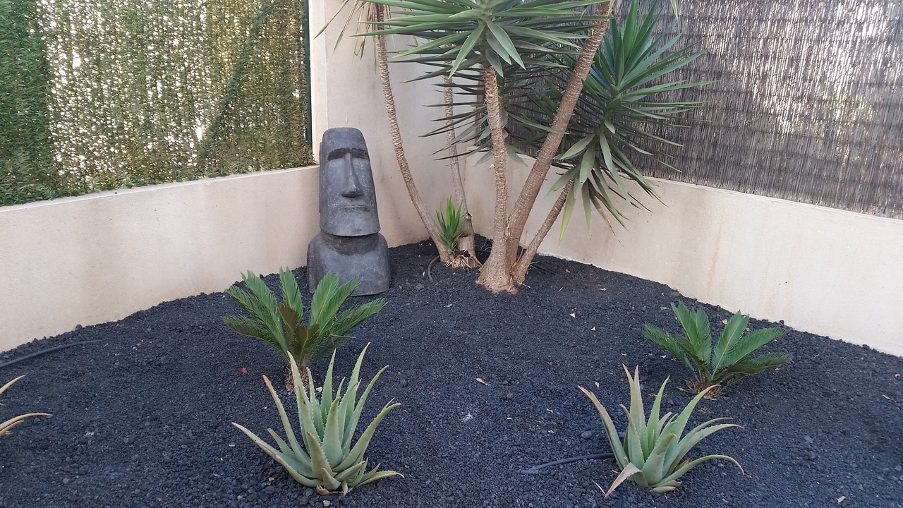 Photo of Outdoor in La Oliva