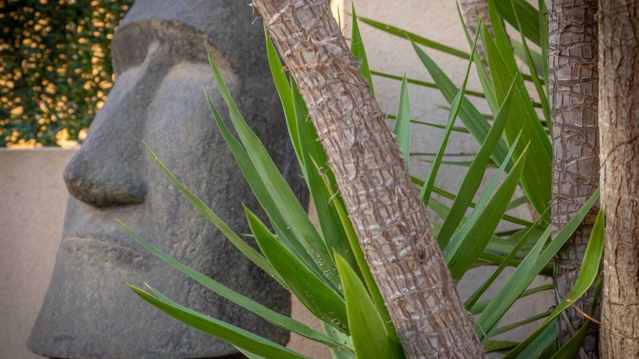 Photo of Outdoor in La Oliva