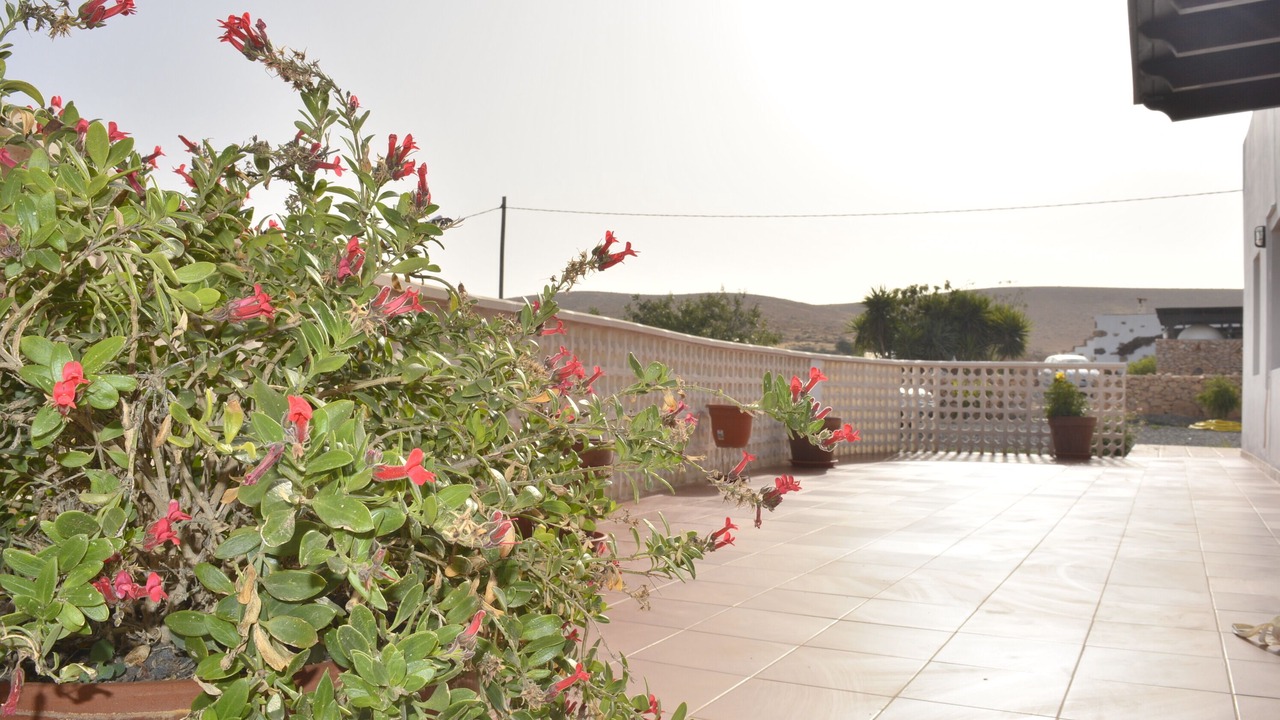 Photo of Outdoor in Llanos de la Concepcion