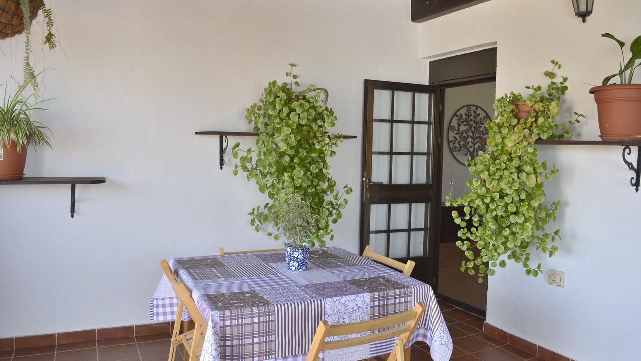 Photo of Outdoor in Llanos de la Concepcion