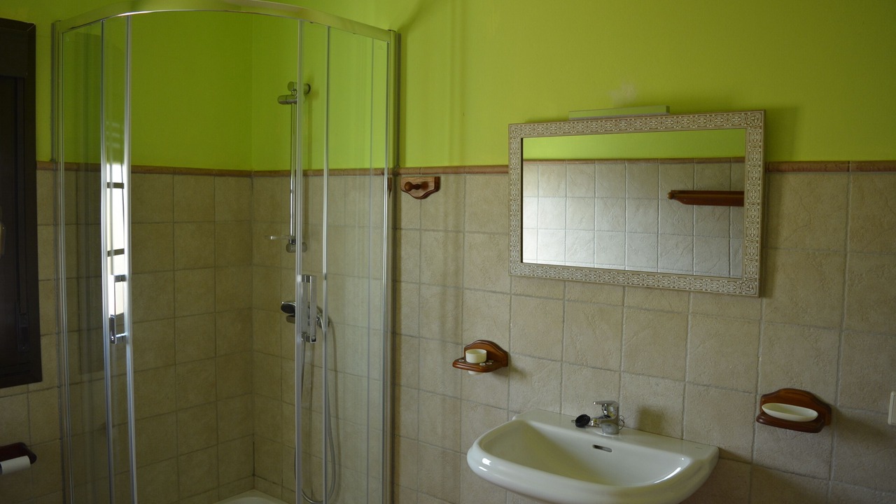 Photo of Bathroom in Llanos de la Concepcion