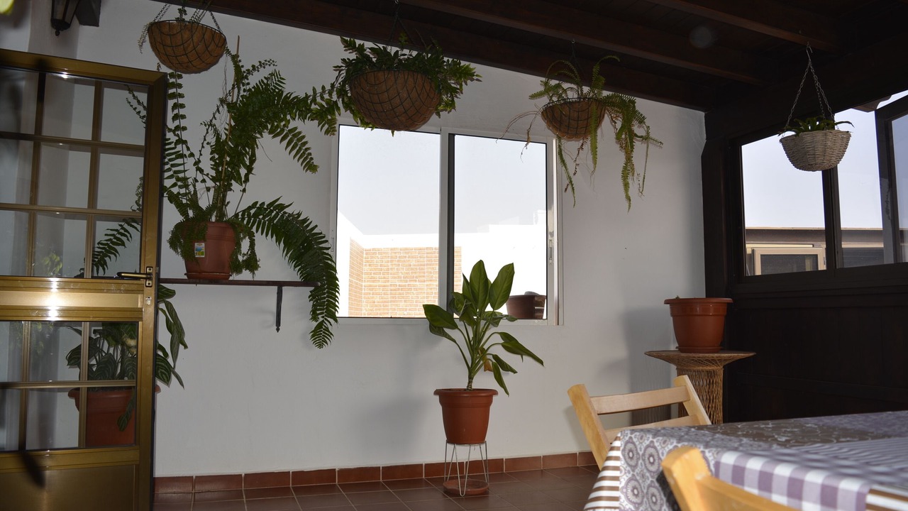 Photo of Others in Llanos de la Concepcion