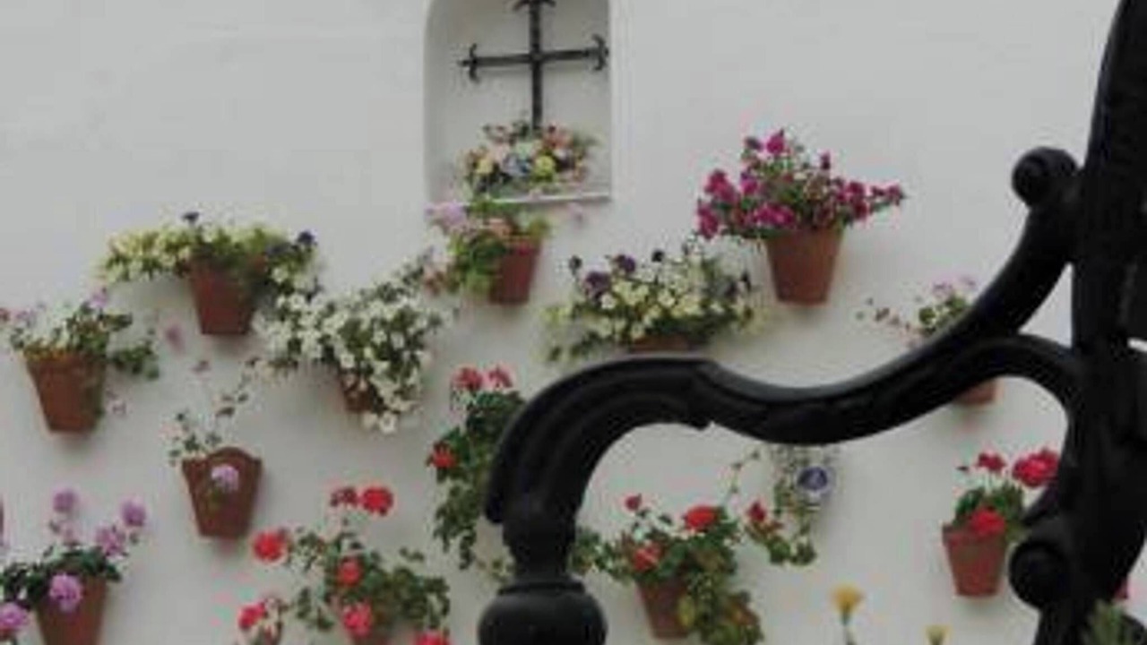 Photo of Outdoor in Penaflor