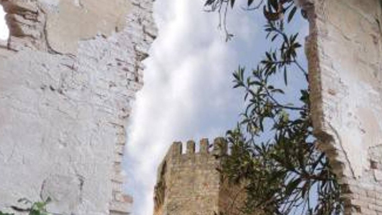 Photo of Outdoor in Penaflor
