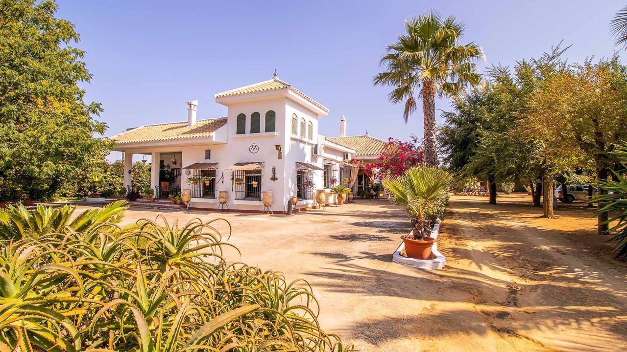 Photo of Outdoor in Marchena