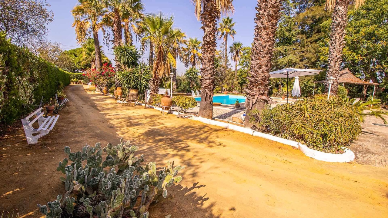 Photo of Outdoor in Marchena