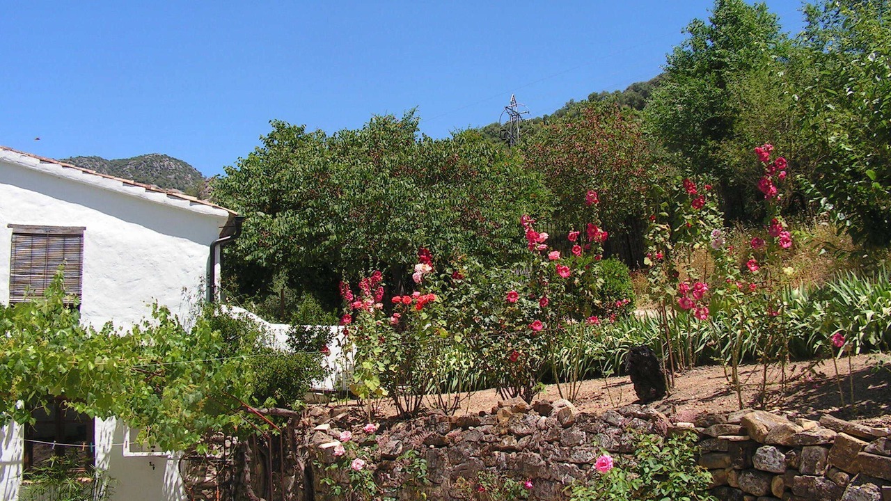 Photo of Outdoor in Ubrique