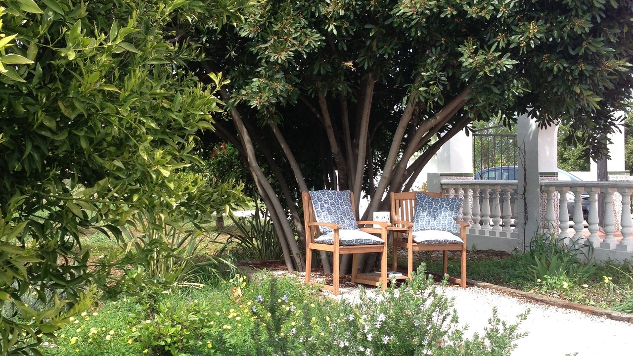 Photo of Outdoor in Alhaurin el Grande