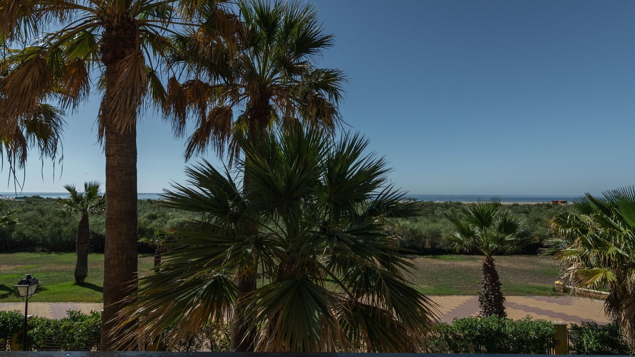 Photo of Outdoor in Punta del Moral