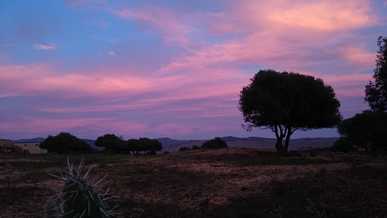 Photo of Others in Tarifa