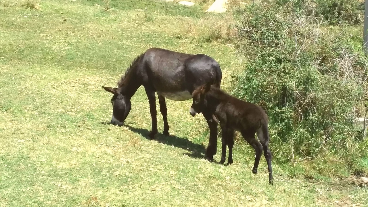 Photo of Others in Tarifa