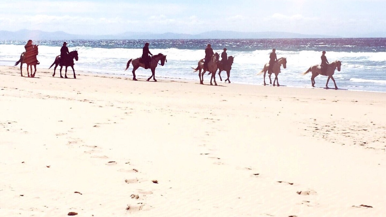 Photo of Others in Tarifa