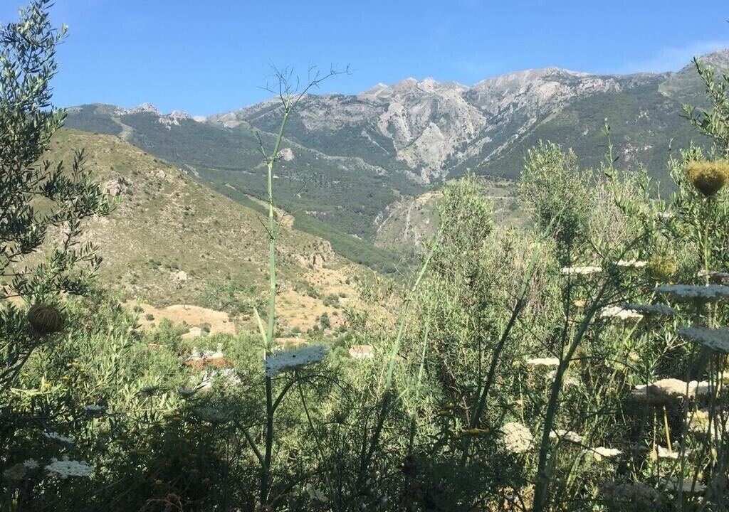 Photo of Outdoor in Alcaucin