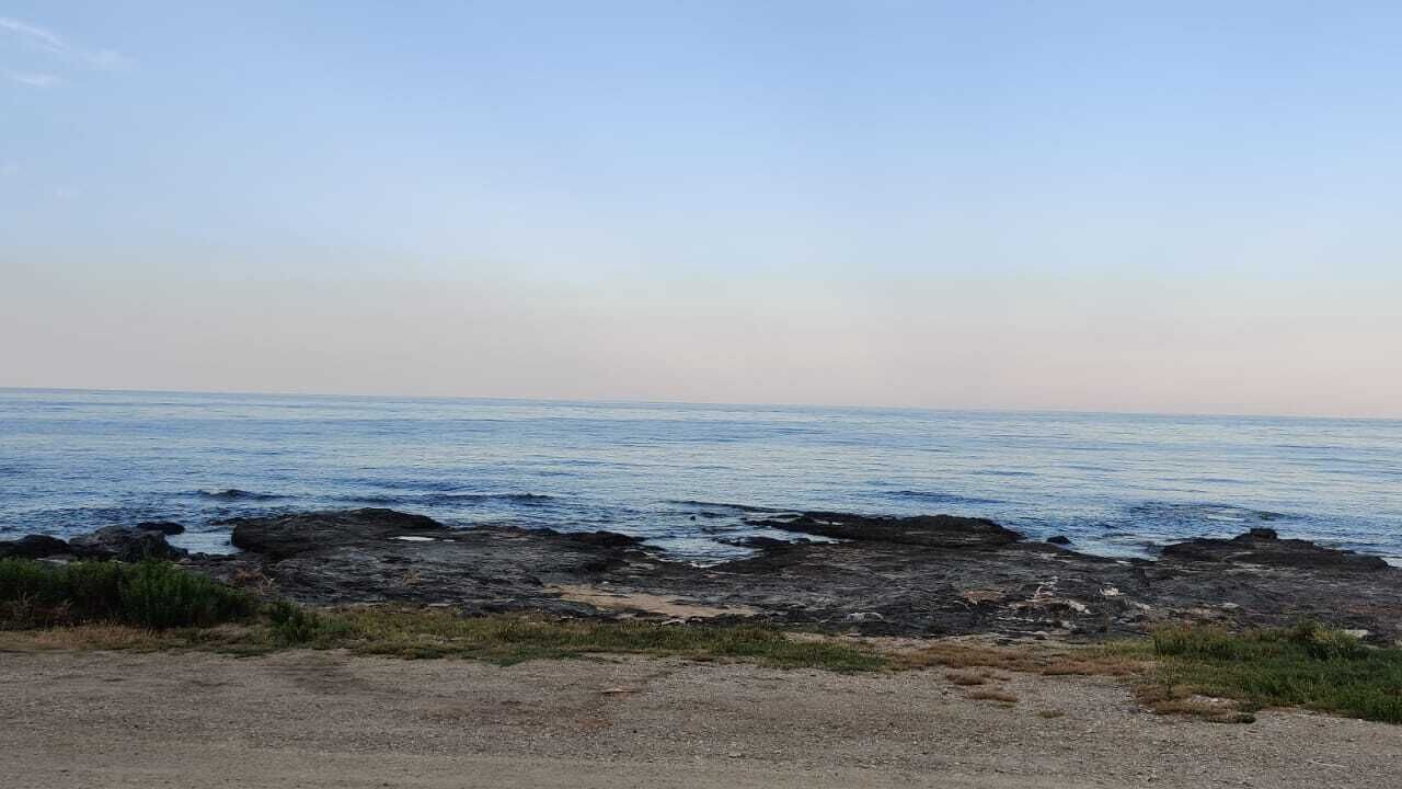 Photo of Others in Cala Panizo