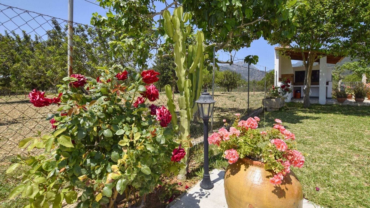 Photo of Outdoor in Selva