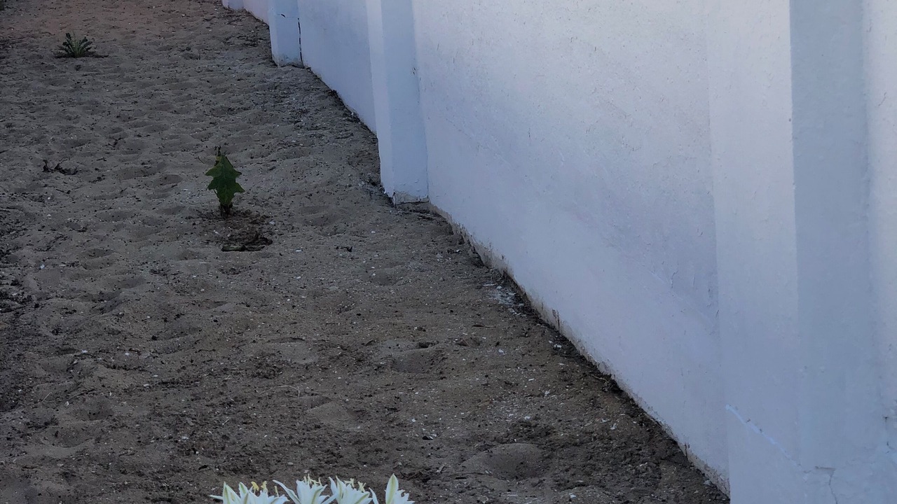 Photo of Outdoor in Punta Umbria