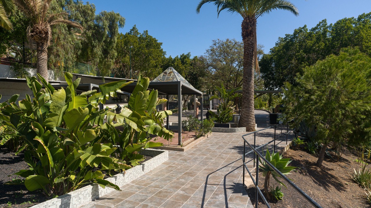 Photo of Outdoor in Telde