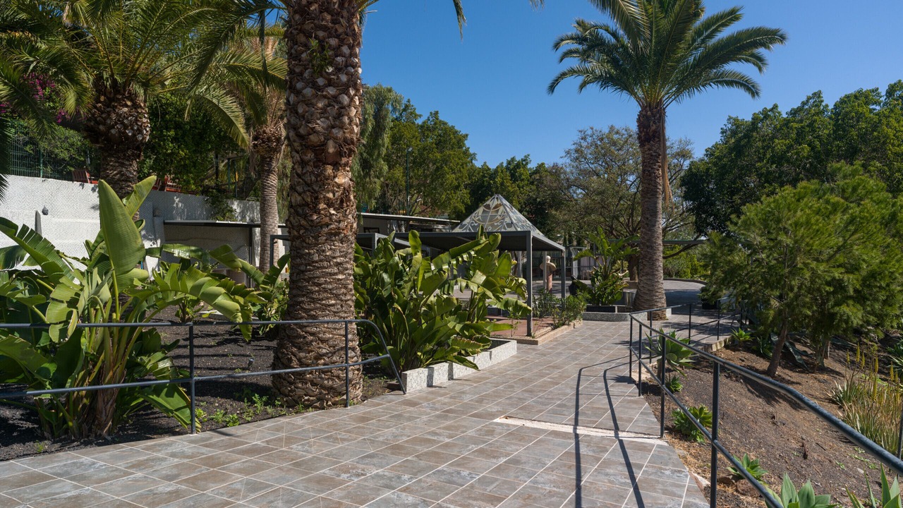 Photo of Outdoor in Telde
