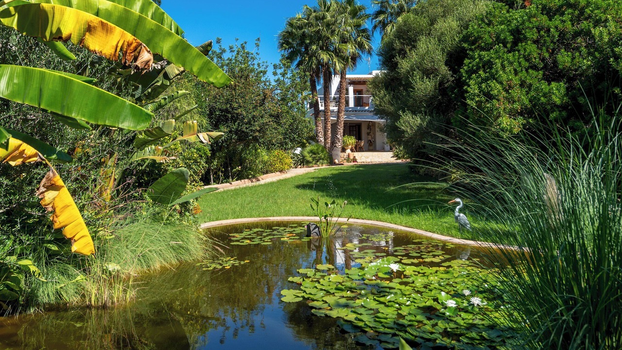 Photo of Outdoor in Sant Carles de Peralta