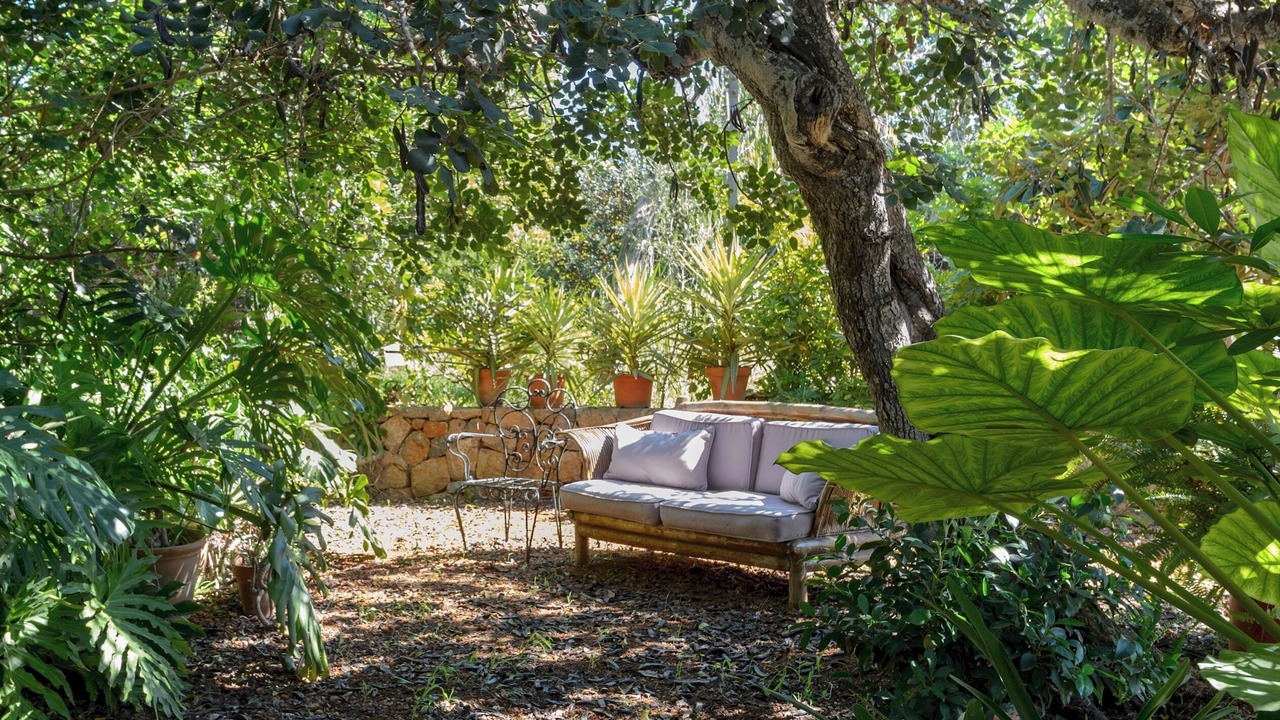 Photo of Outdoor in Sant Carles de Peralta