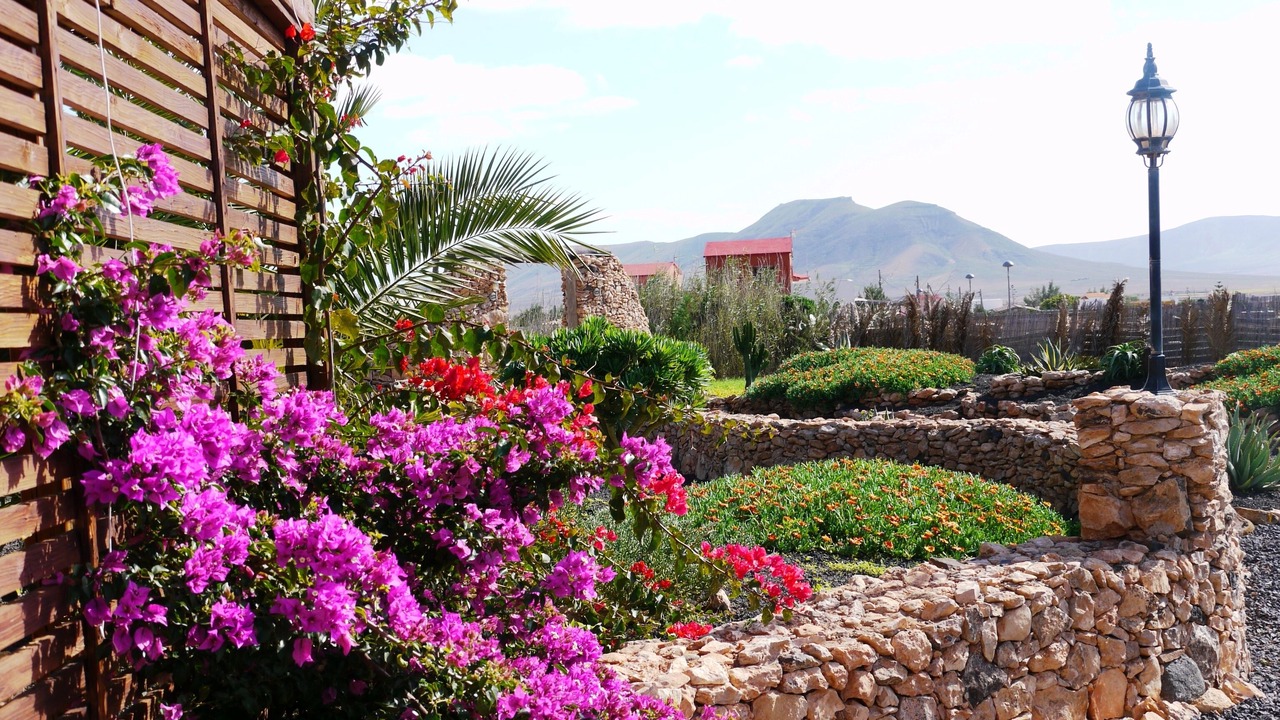 Photo of Outdoor in Triquivijate