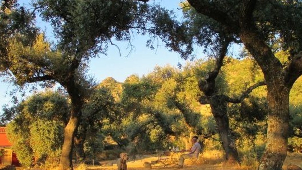 Photo of Others in Montanchez