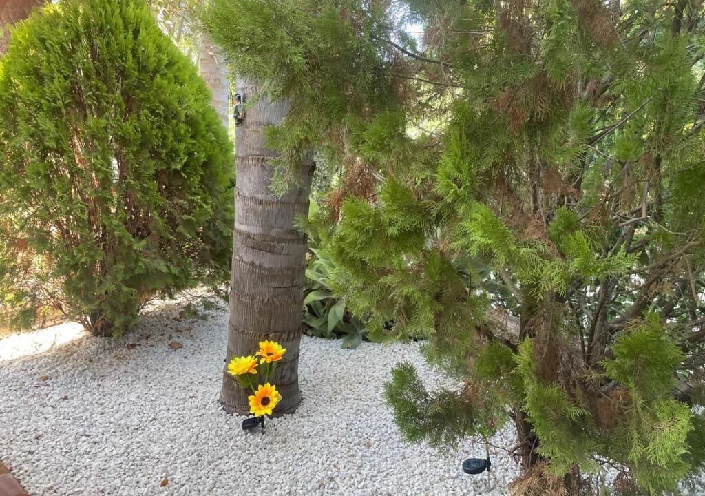 Photo of Outdoor in Aznalcazar