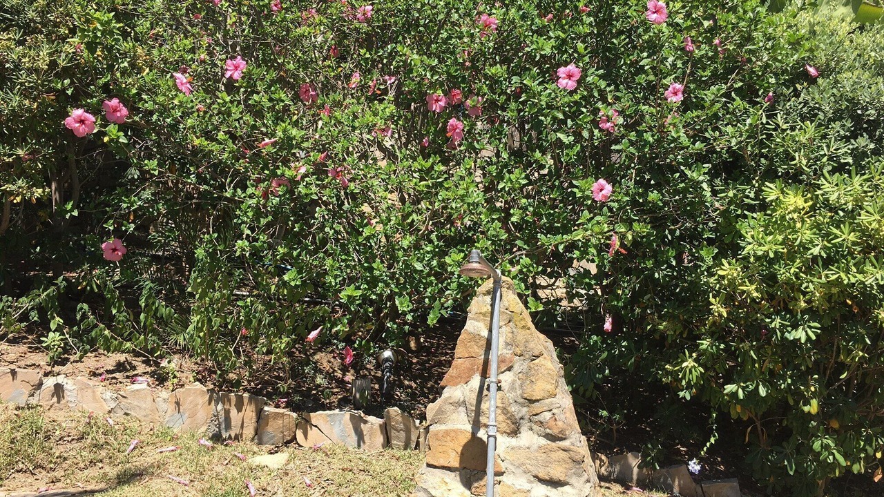 Photo of Outdoor in Casares