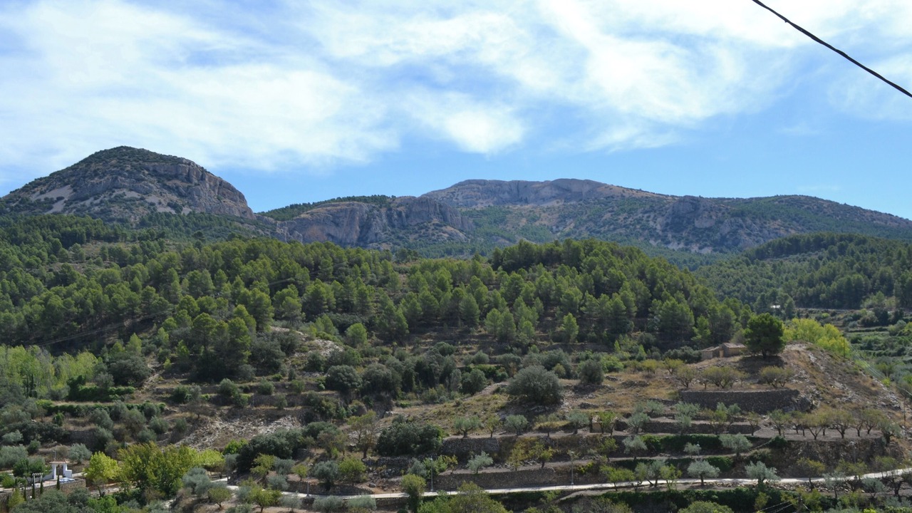 Photo of Others in Alcoleja