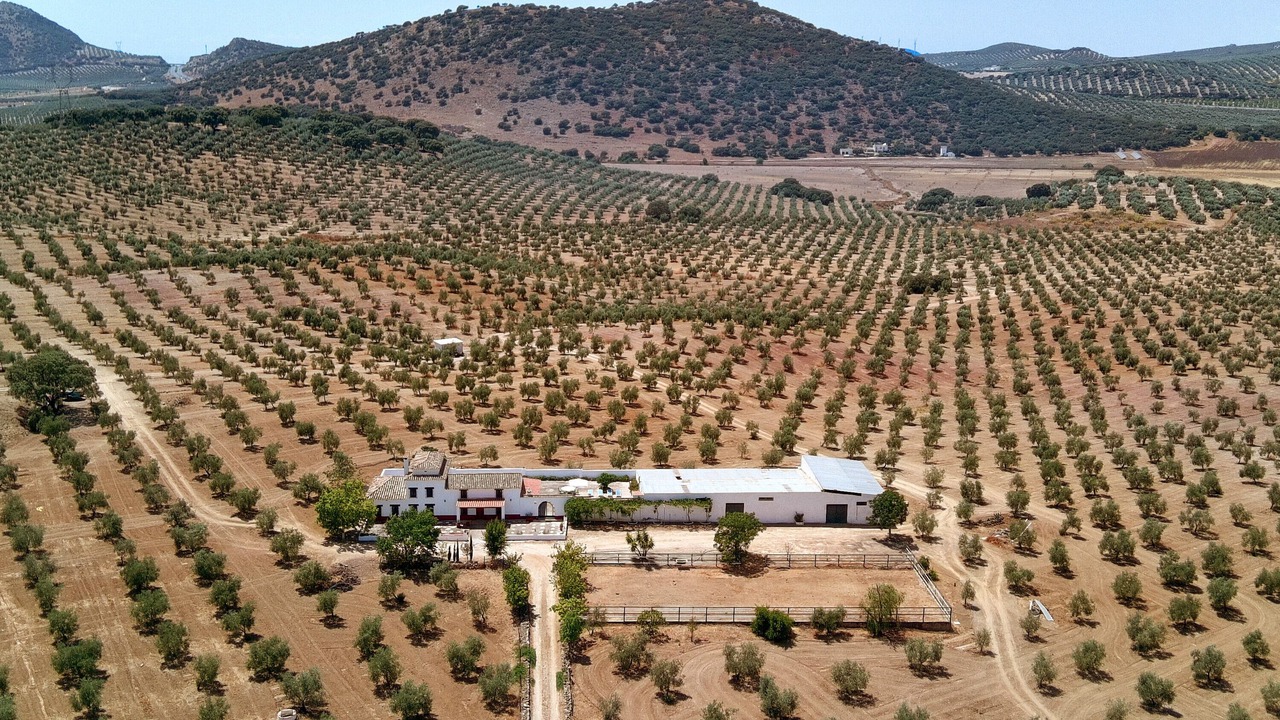 Photo of Outdoor in Archidona
