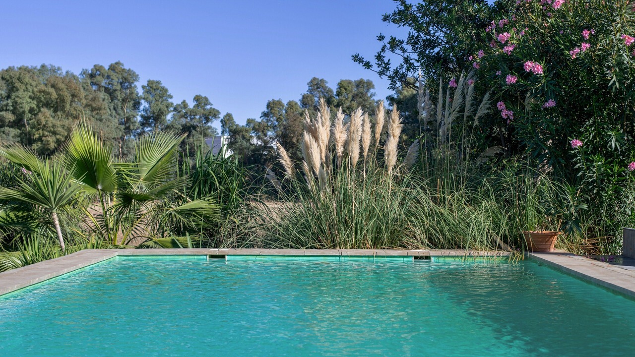 Photo of Outdoor in Villamartin