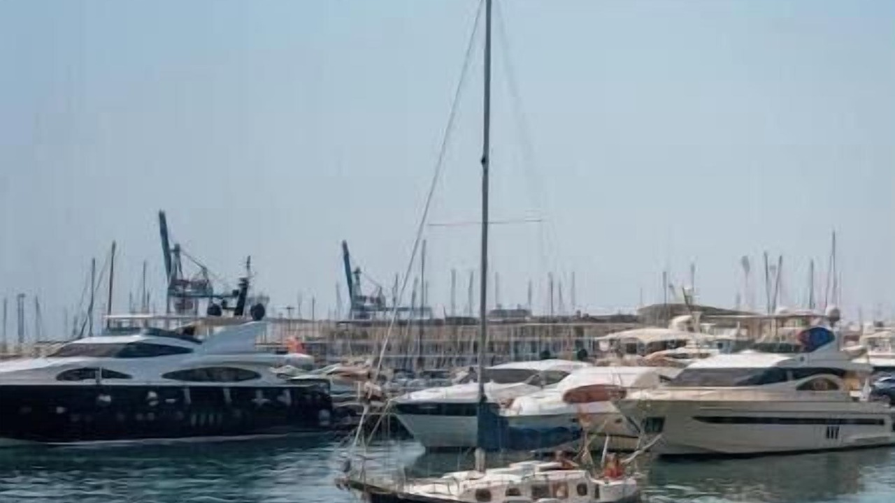 Photo of Others in Alicante