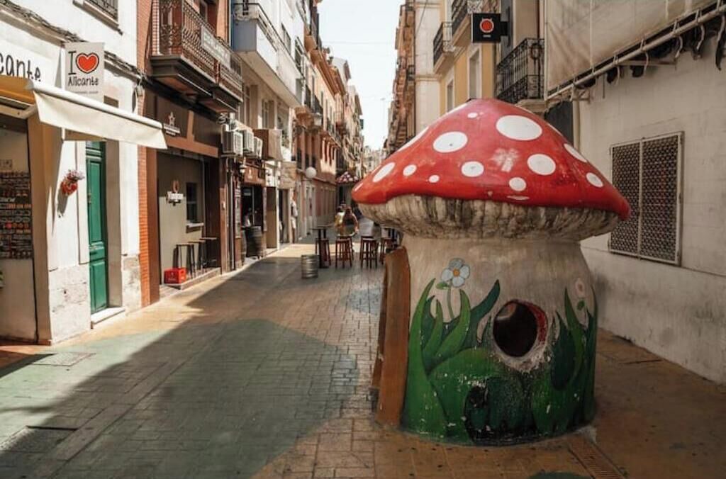 Photo of Others in Alicante