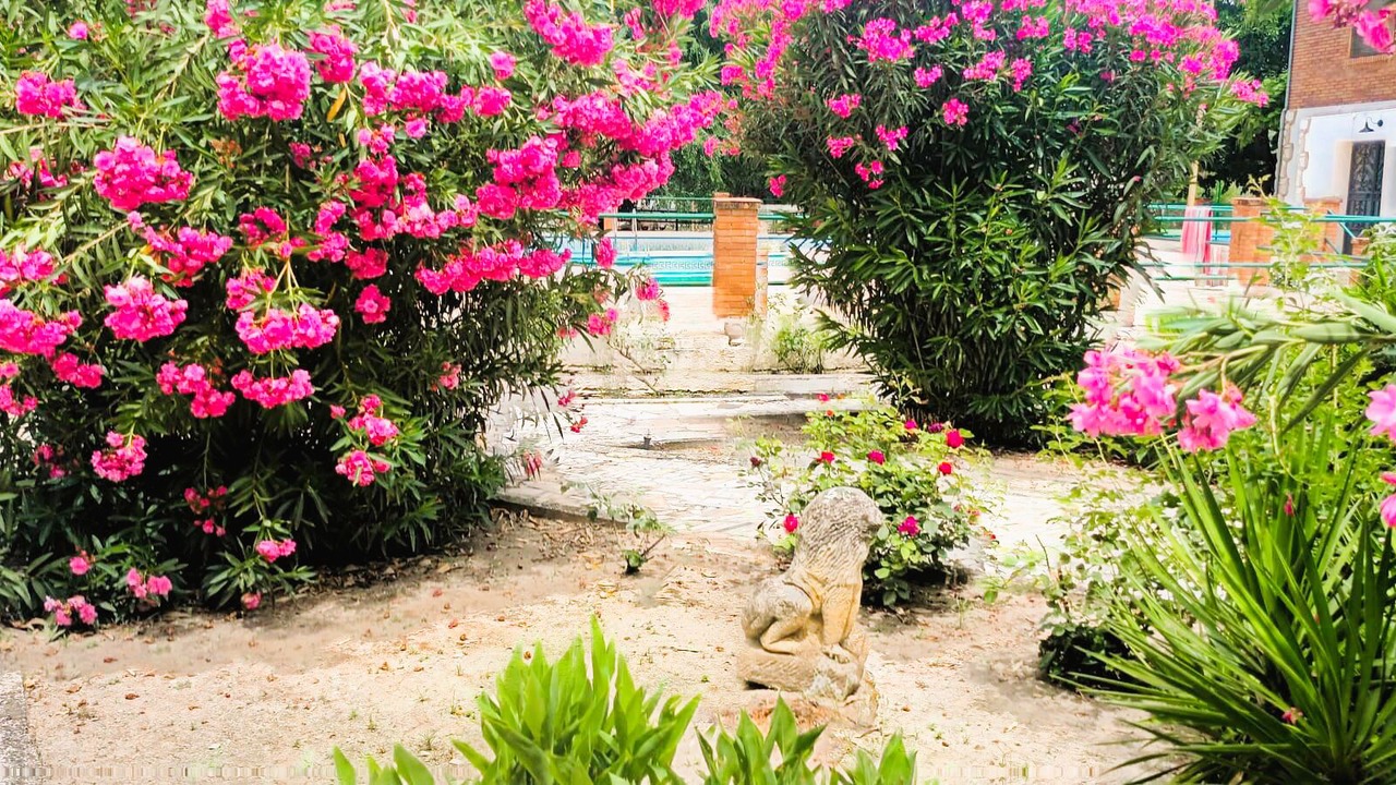 Photo of Outdoor in Priego de Cordoba