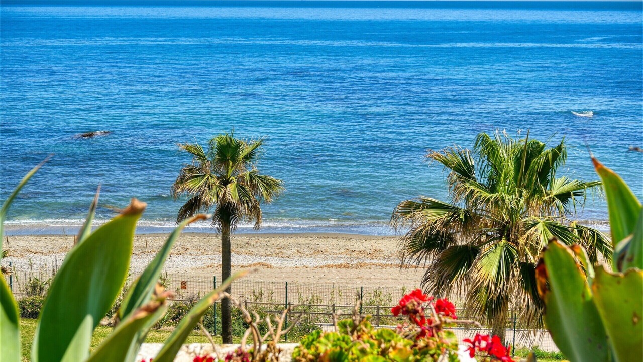 Photo of Others in Bahia de Casares