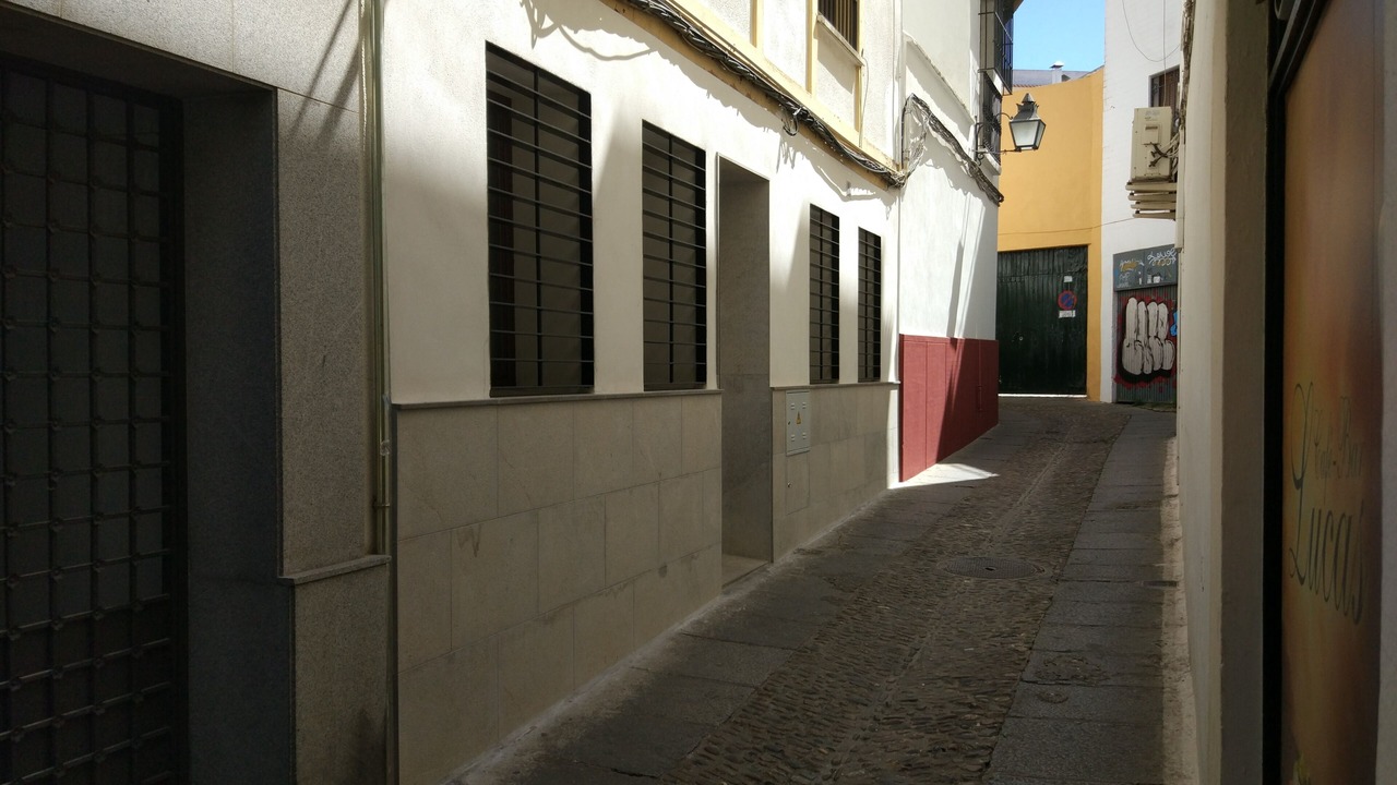 Photo of Others in La Trinidad-San Juan y Todos los Santos