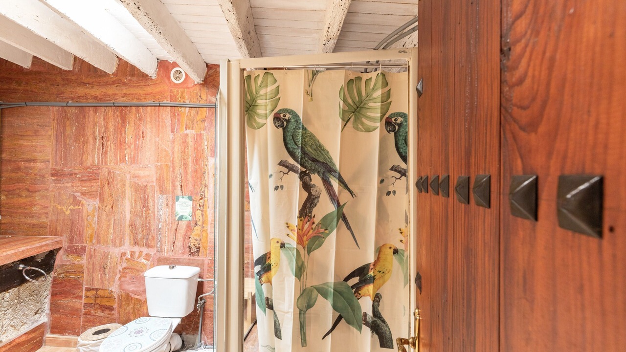 Photo of Bathroom in Agaete