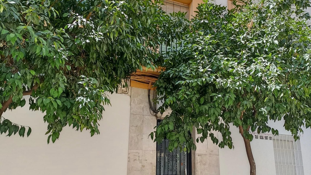 Photo of Outdoor in Ciudad Jardin