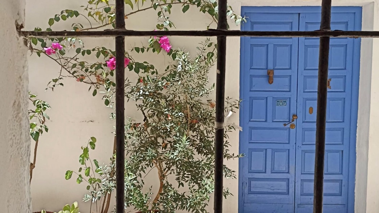 Photo of Outdoor in Ciudad Jardin