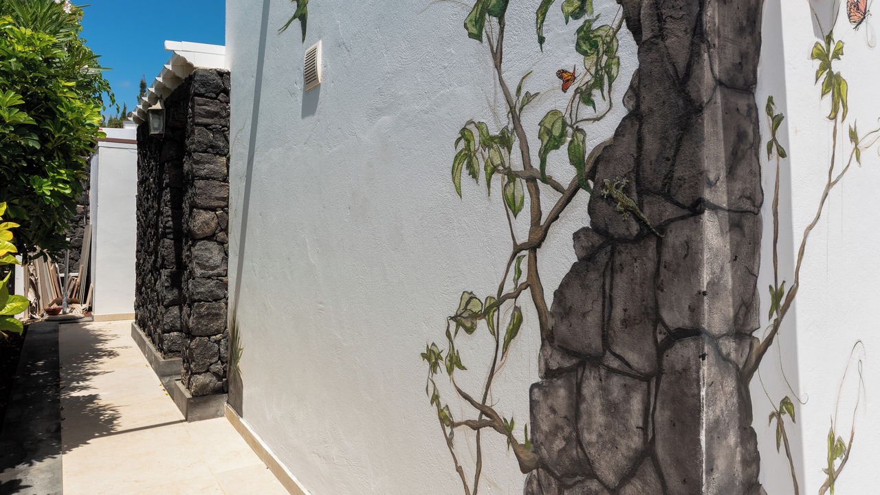 Photo of Outdoor in Los Pocillos