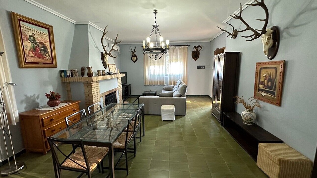 Photo of Livingroom in Guillena