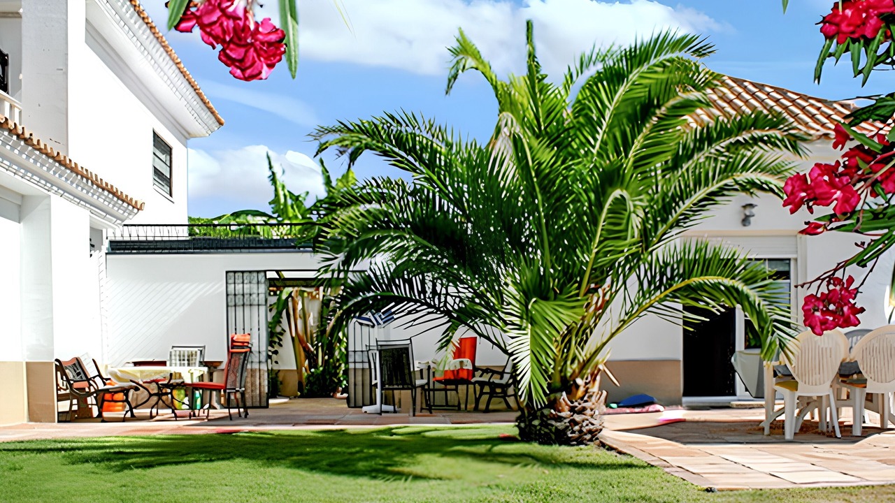 Photo of Outdoor in Nuevo Portil
