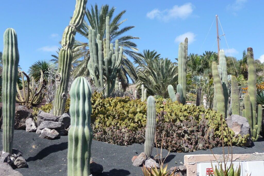 Photo of Outdoor in Bahia Calma